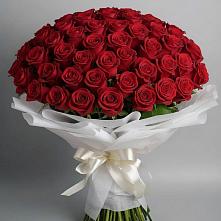 Букет 101 Красная роза Блэк Мэджик в Жатай