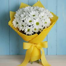 Букет цветов из:  Хризантемы в Жатай