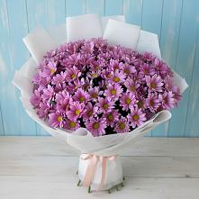 Букет цветов из:  Хризантемы в Жатай