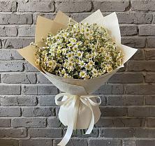 Букет цветов из:  Ромашки в Жатай