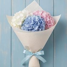 Букет цветов из:  Гортензия в Жатай