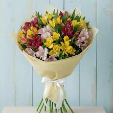 Букет цветов из:  Альстромерии в Жатай